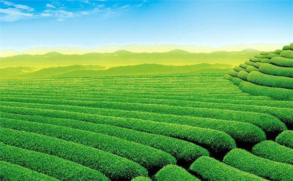 智能土壤墑情監(jiān)測(cè)系統(tǒng)